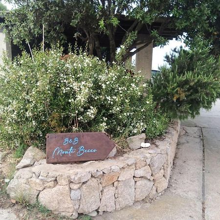 Monte Becco Panoramic Rooms Santa Teresa Gallura Dış mekan fotoğraf
